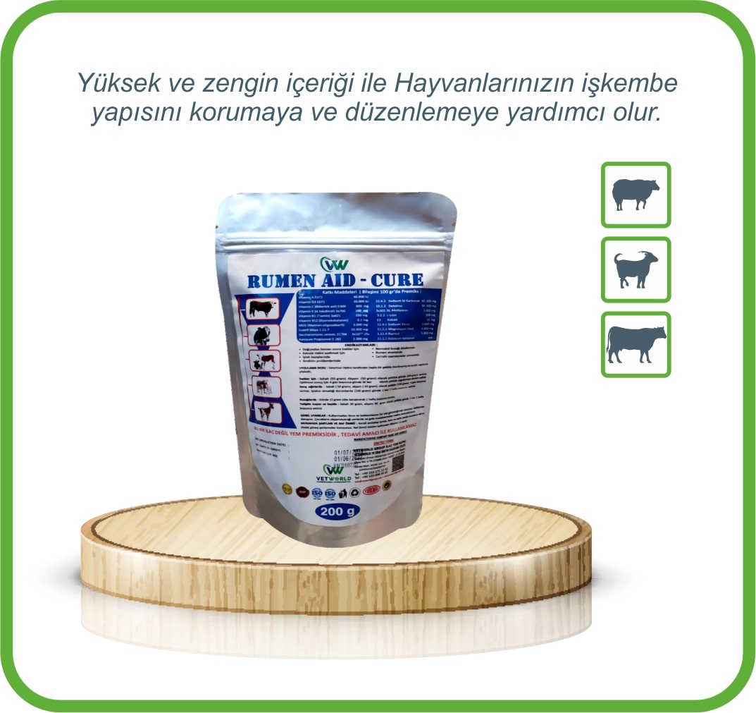 VW-ENERJİ PLUS